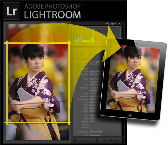 LIGHTROOM для iPad